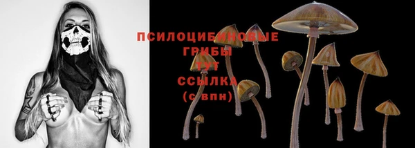 спайс Аркадак